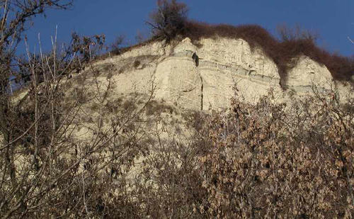 Löszfal