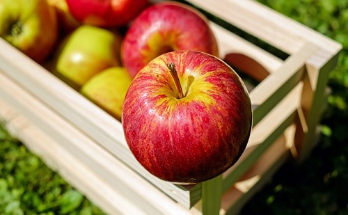 Az üzem évente 200 tonna almát képes majd feldolgozni.