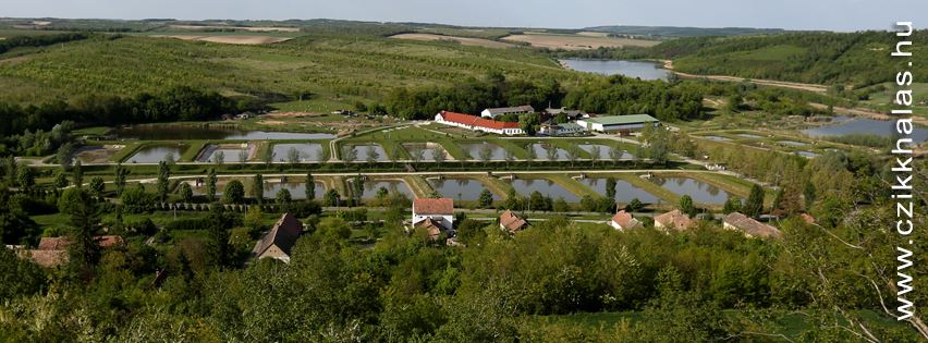 Tolna megye legnagyobb halgazdaságát fejlesztették