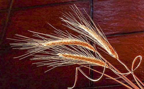 Dunaföldváron új fehérjekoncentrátum gyártósorokat helyeznek üzembe